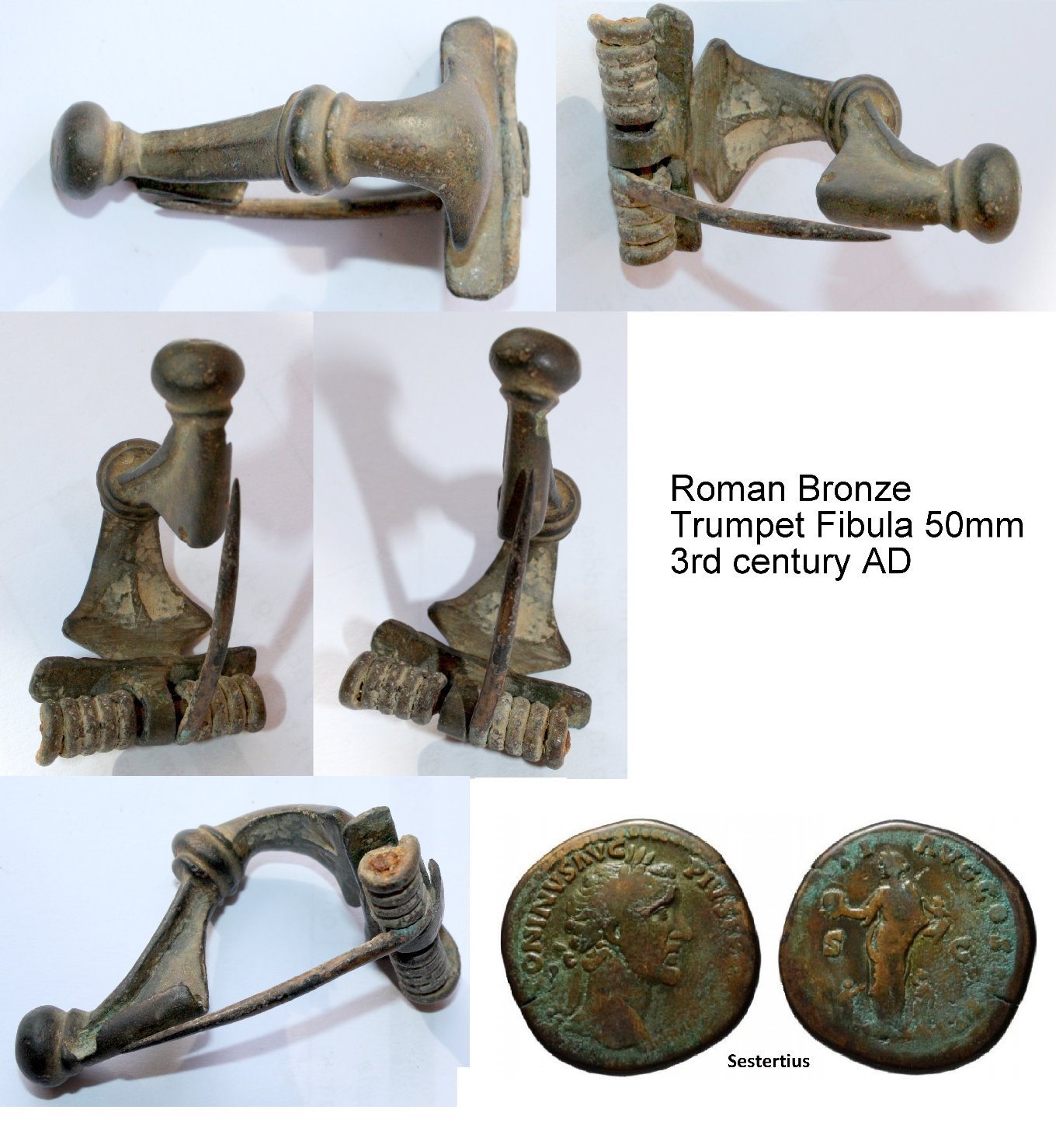 20191108_1-trumpet-fibula-ccfopt.jpg