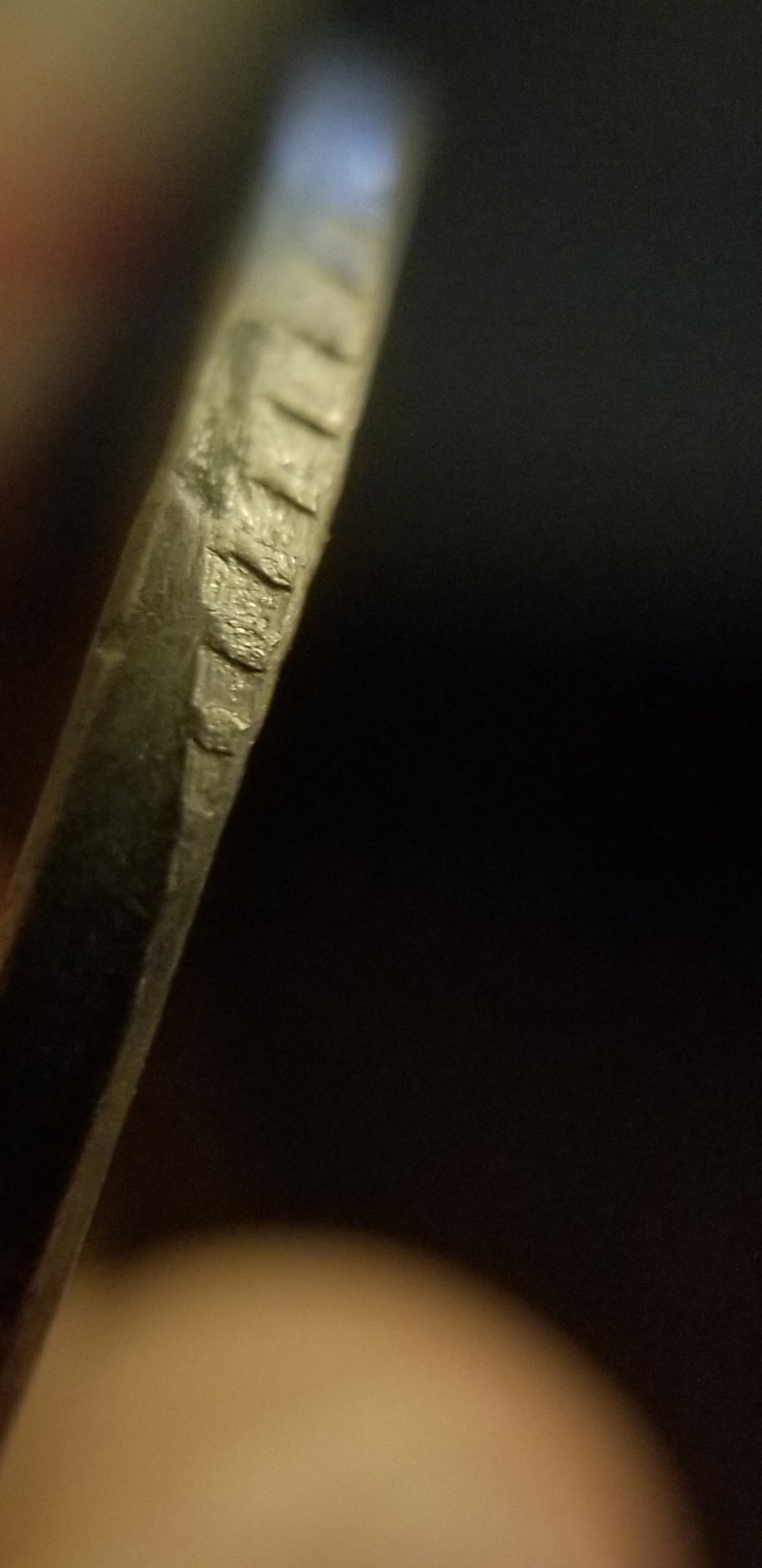 20191109_061843.jpg