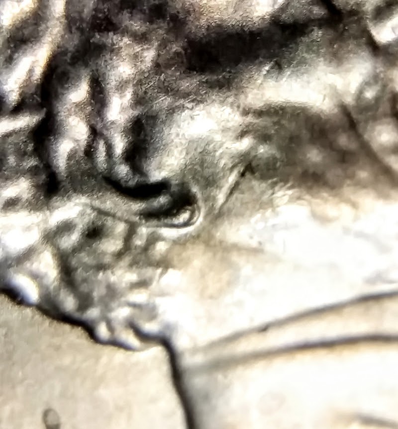 20191110_205734.jpg
