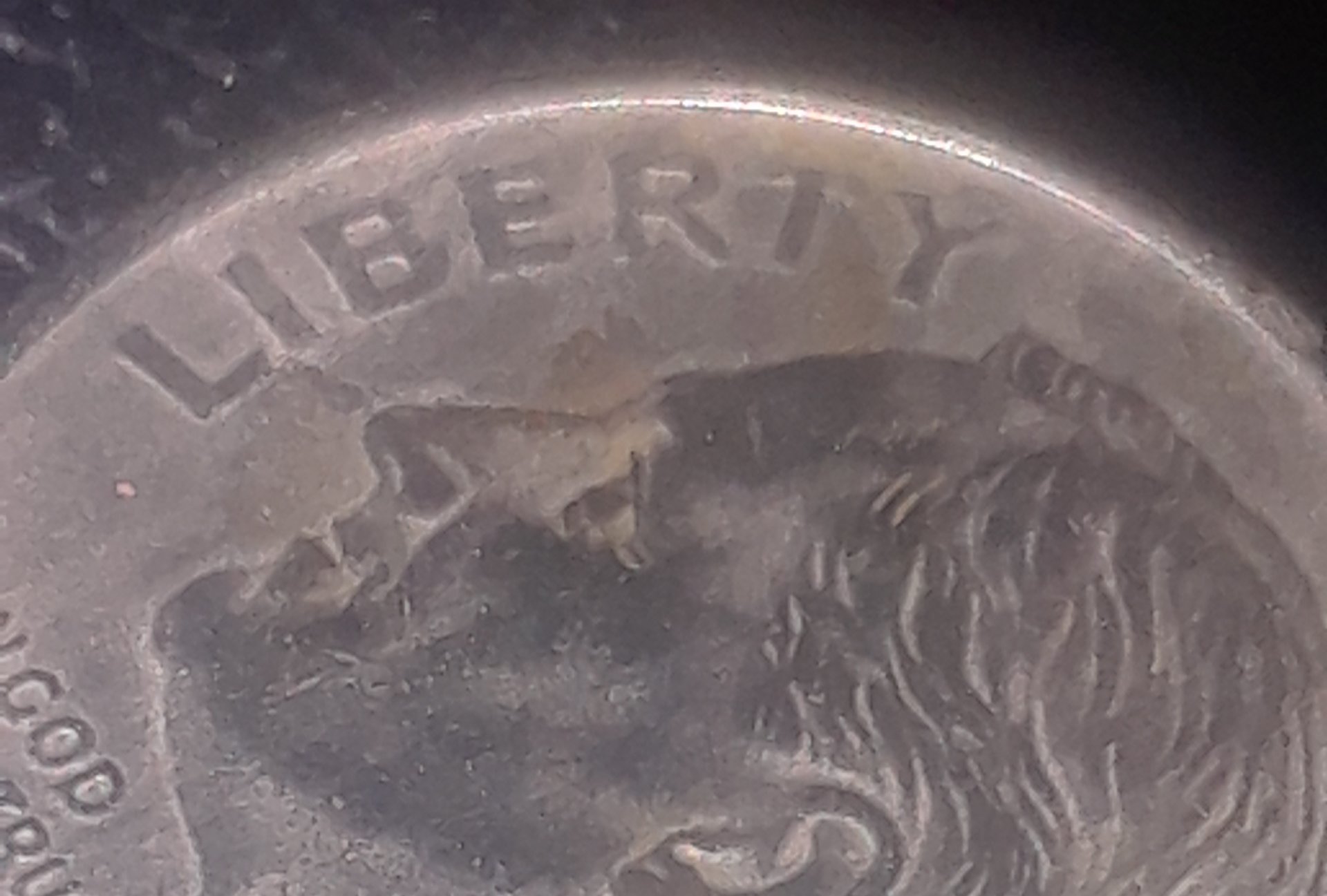 20191112_133525.jpg