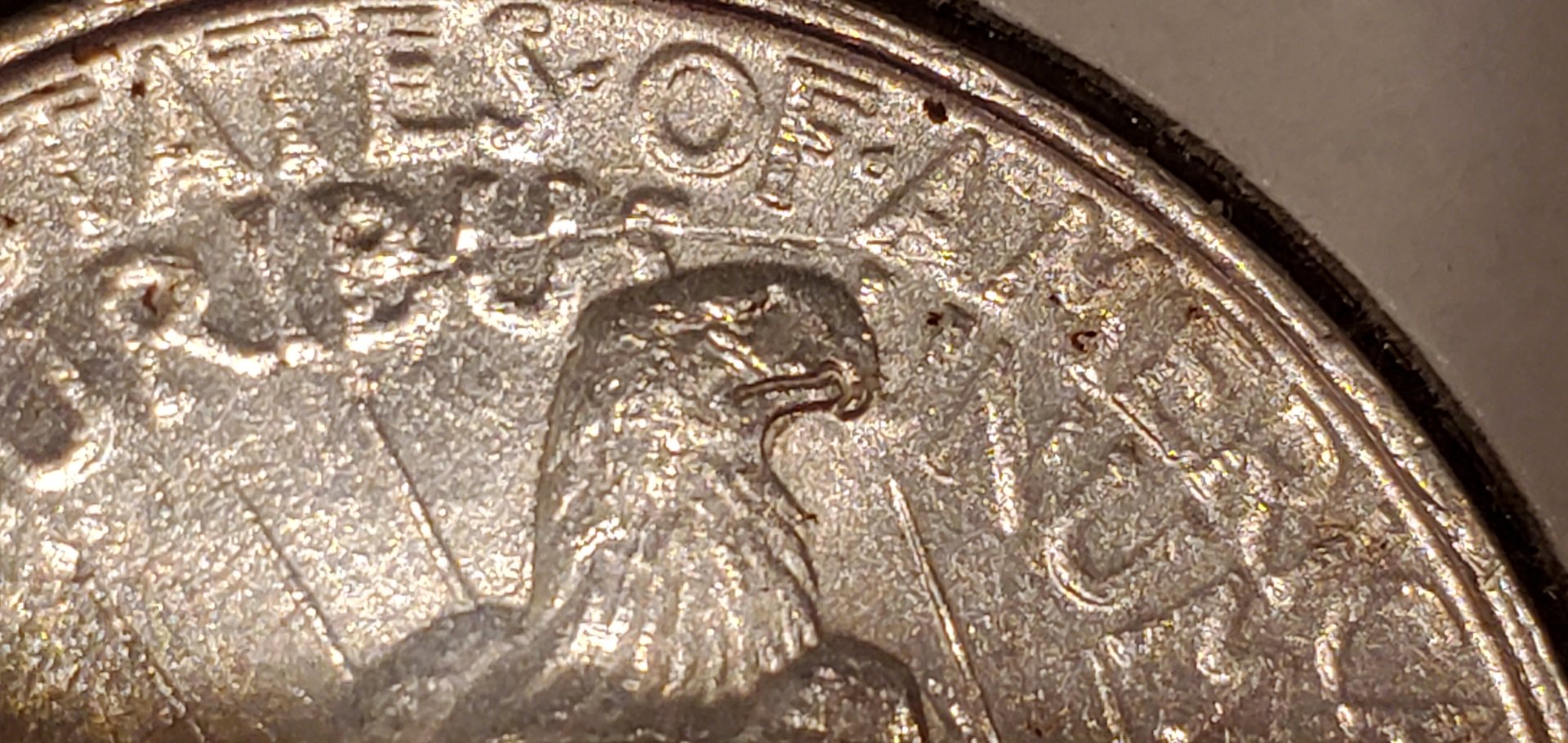 20191116_215055.jpg