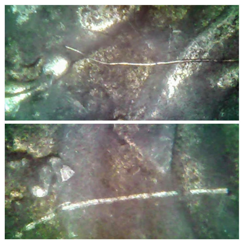 20191118_085558-COLLAGE.jpg