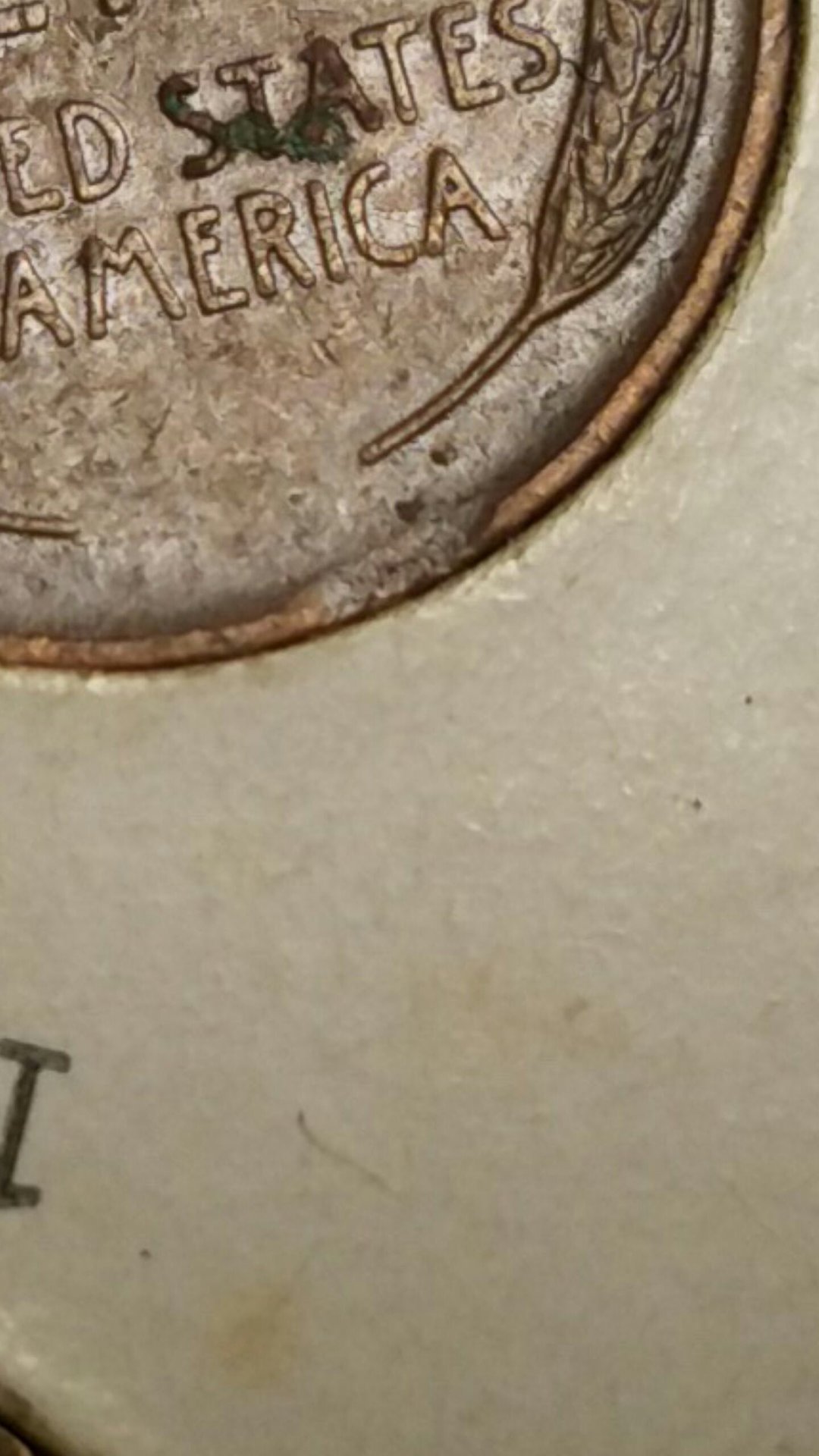 20191122_164416-0.jpg