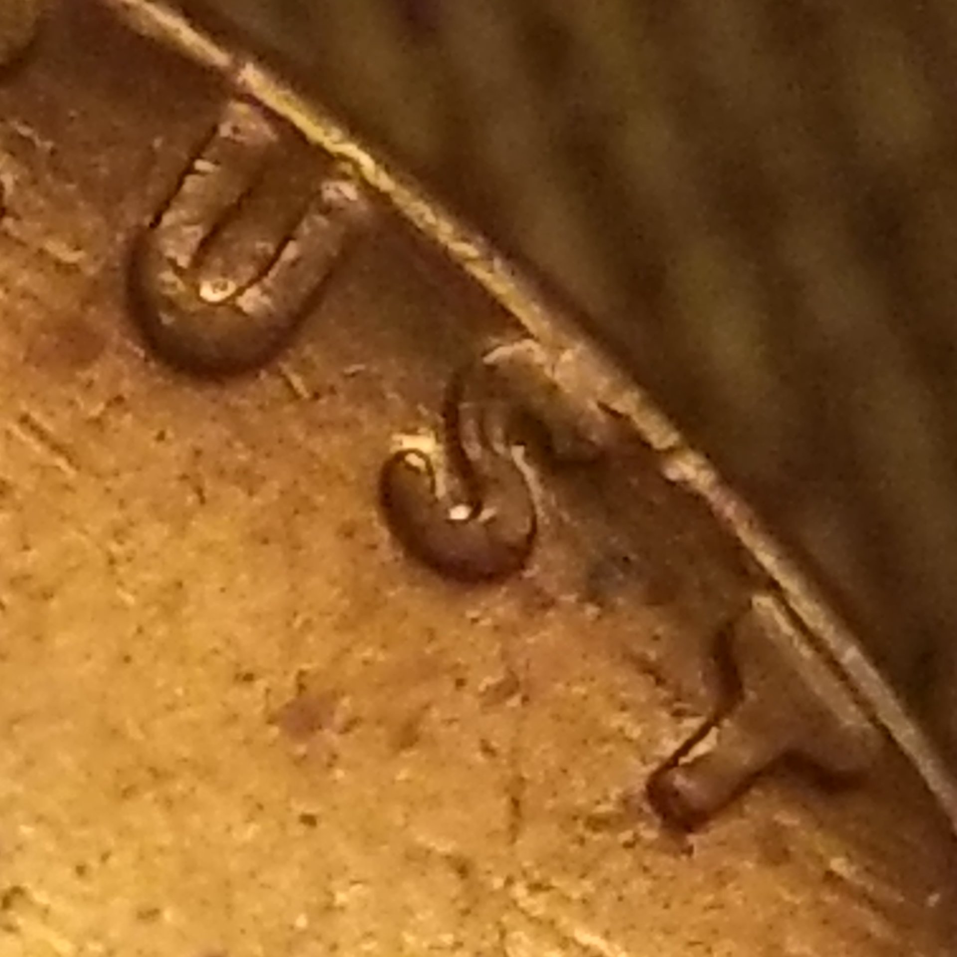 20191123_092228.jpg