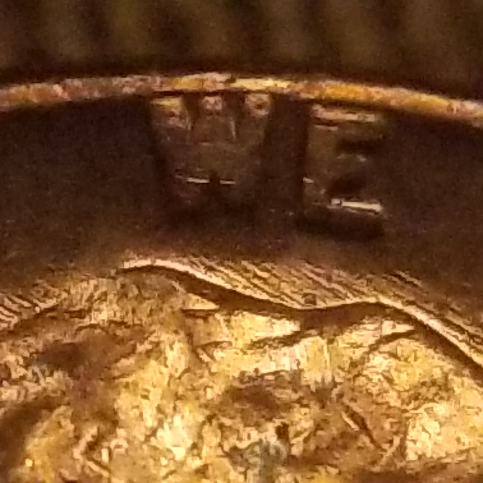 20191123_092248.jpg