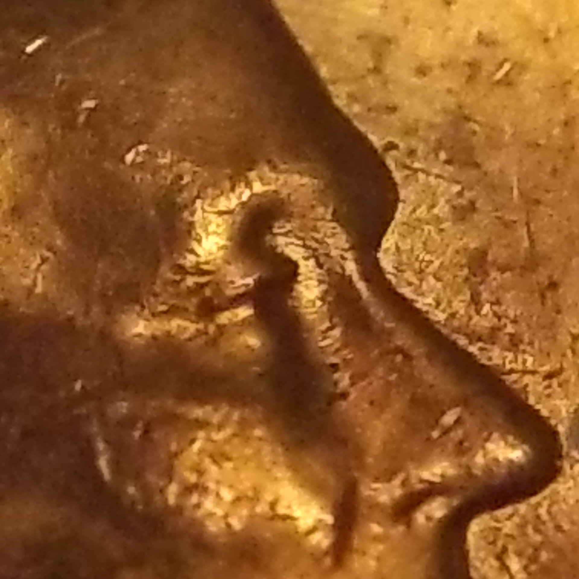 20191123_093222.jpg