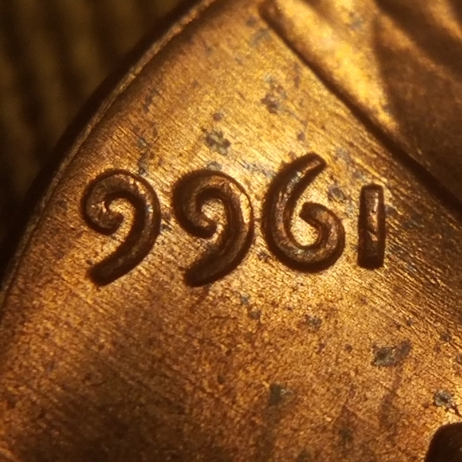 20191123_094910.jpg