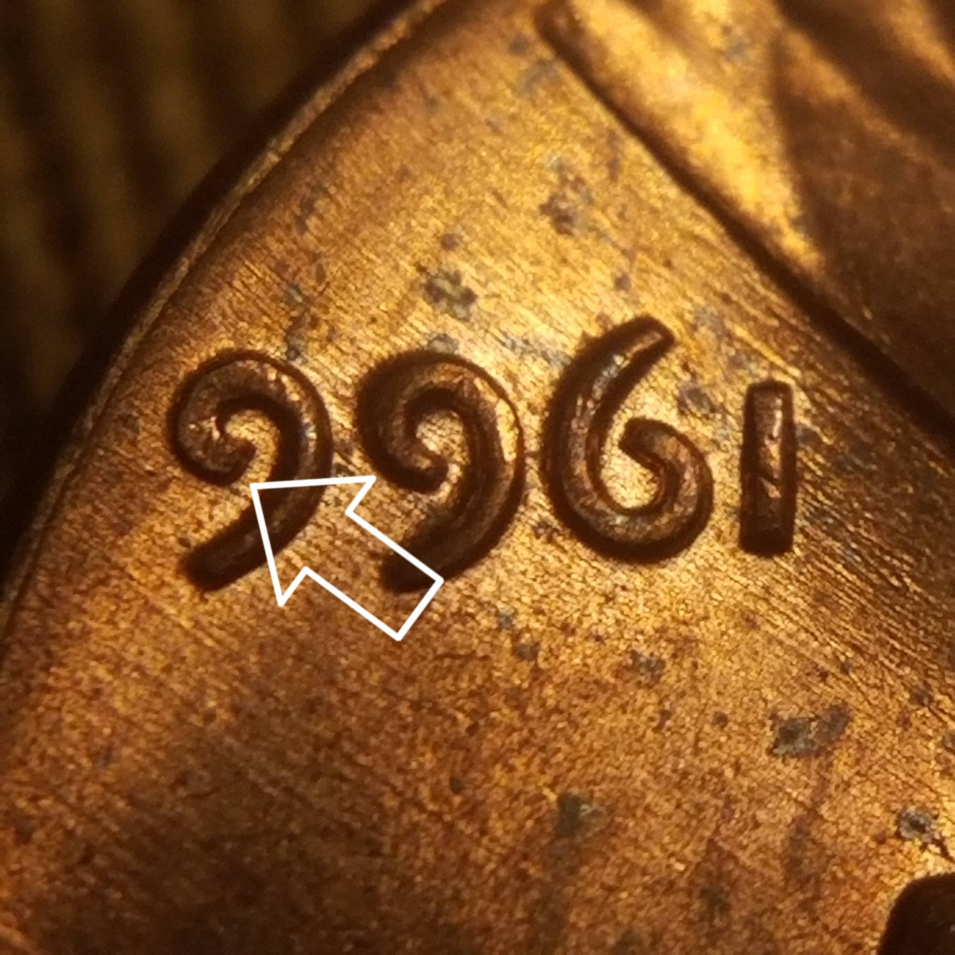 20191123_104539.jpg