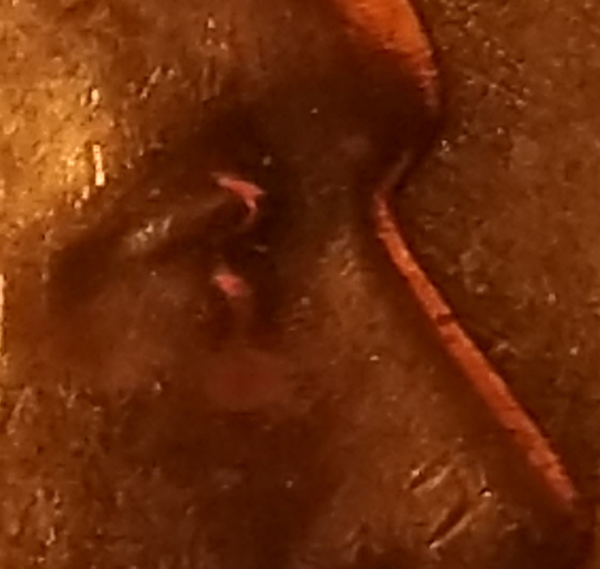 20191123_151734.jpg