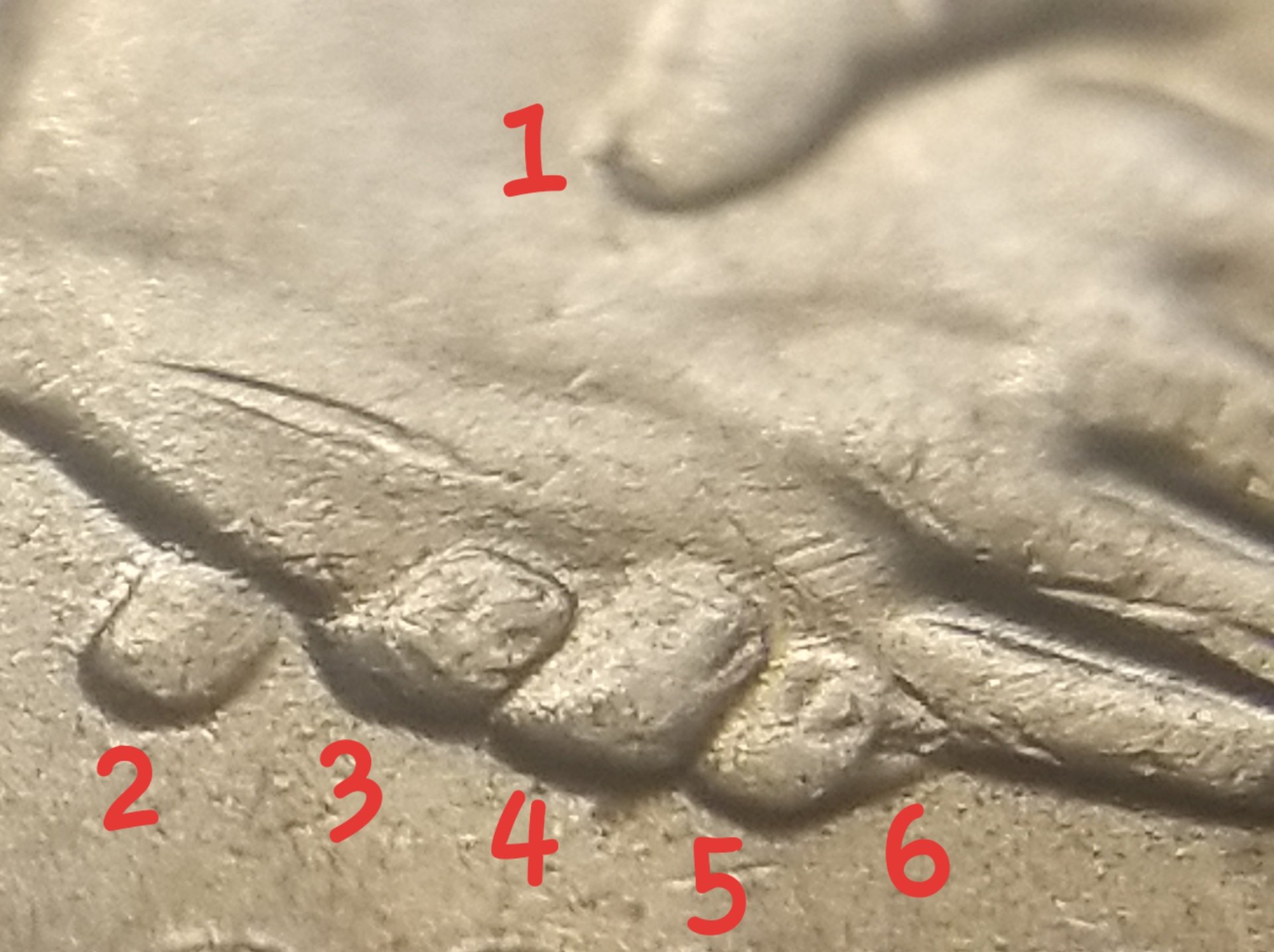 20191125_085625.jpg