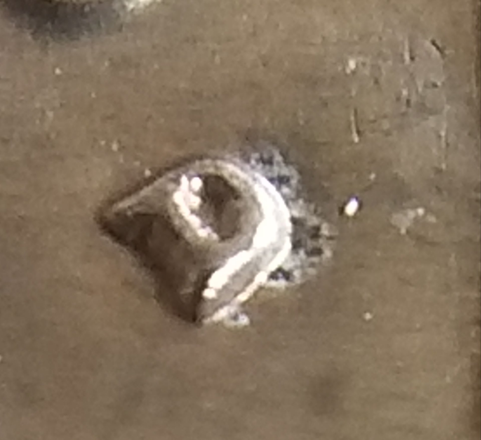 20191126_191130.jpg
