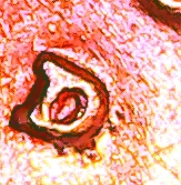 20191126_191414.jpg