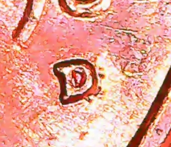 20191126_192447.jpg