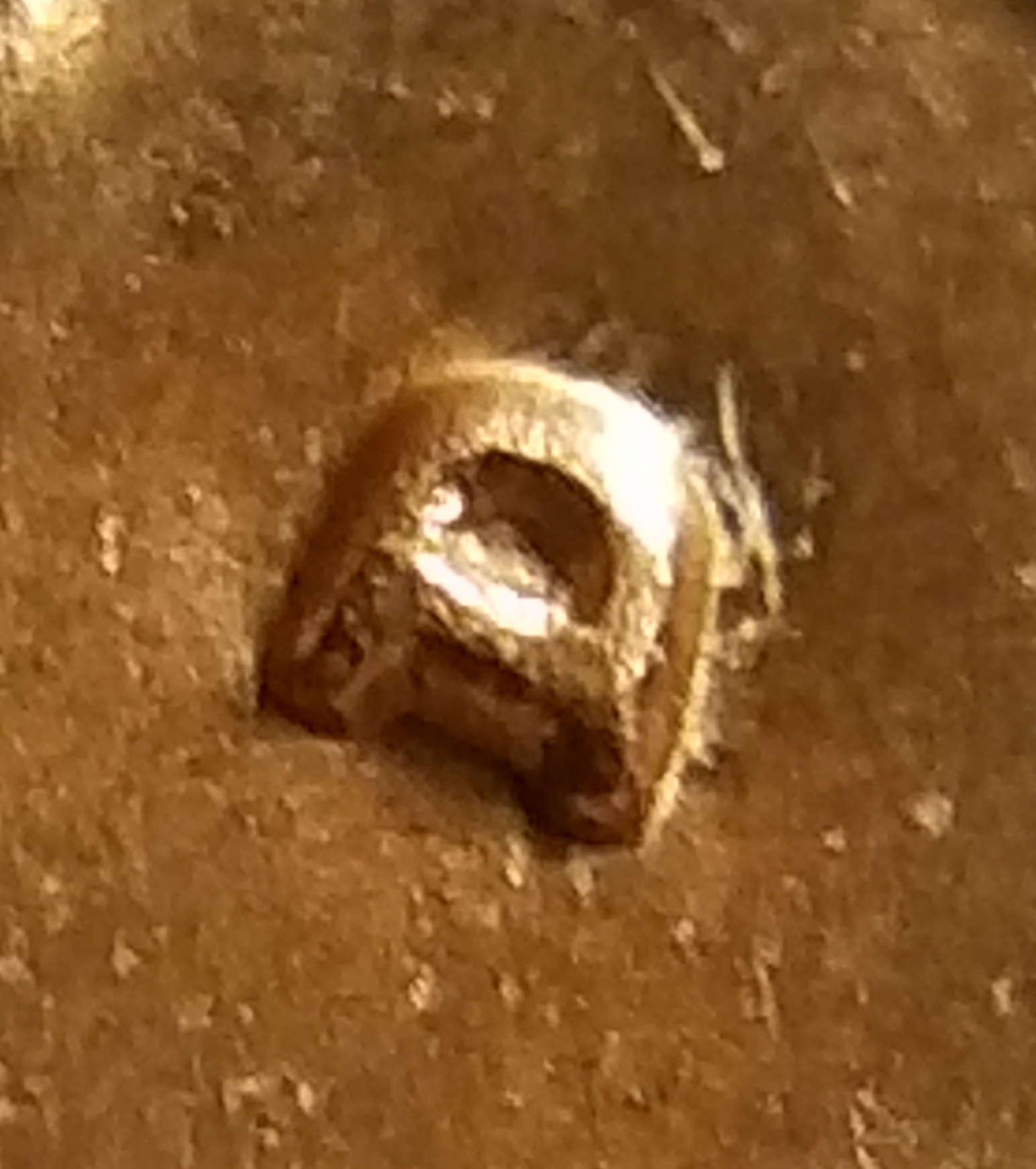 20191126_233239.jpg