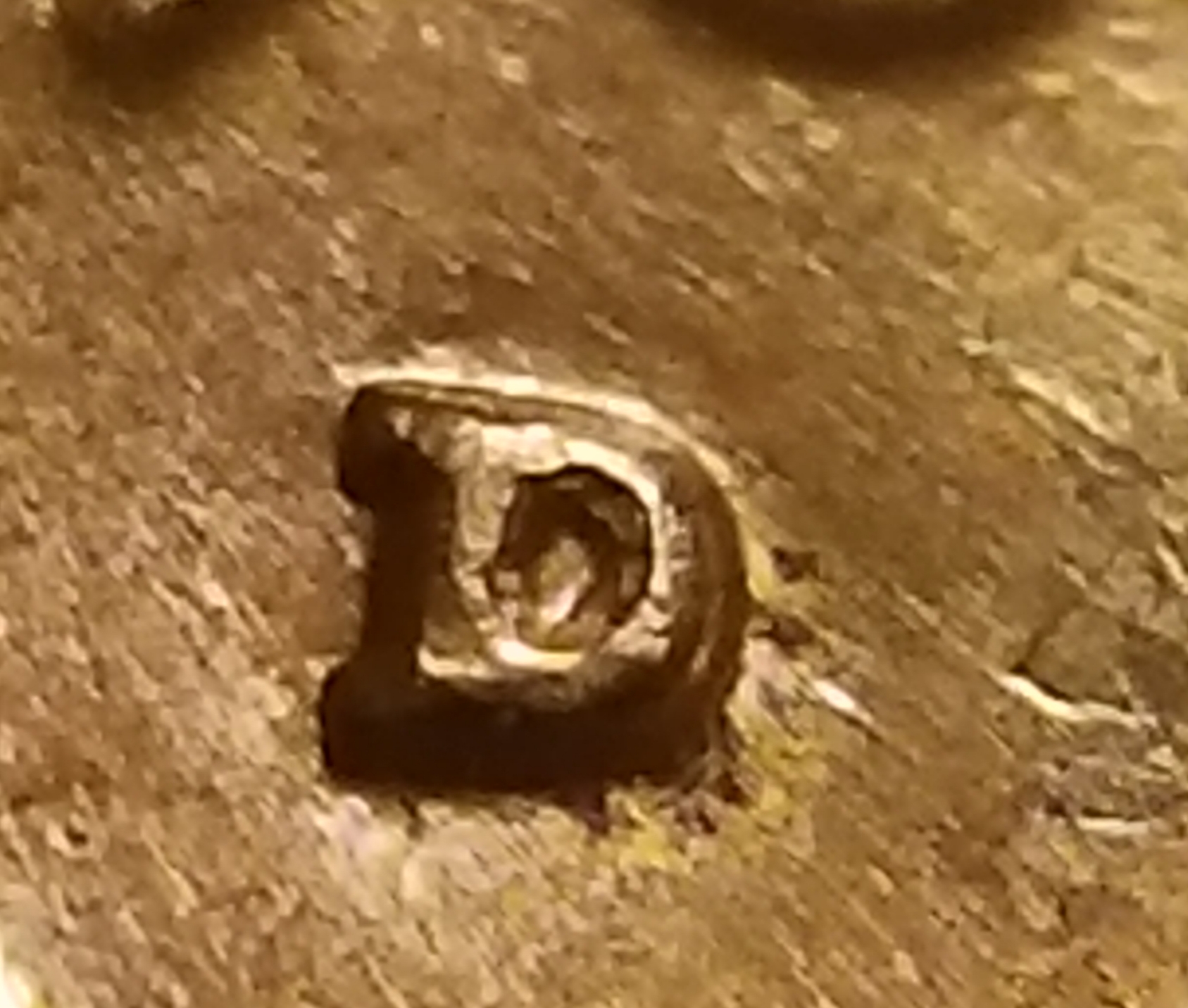 20191126_233332.jpg