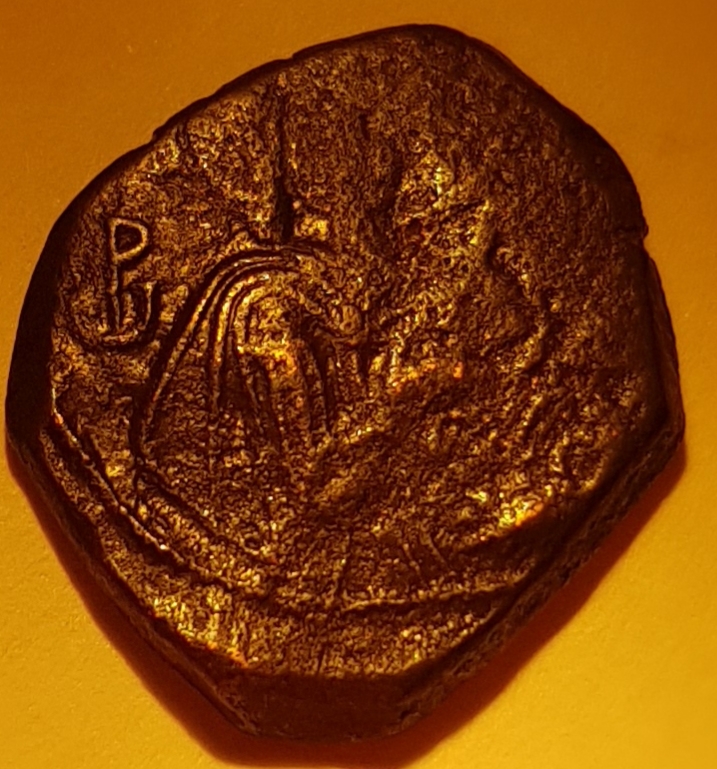 20191128_200527.jpg
