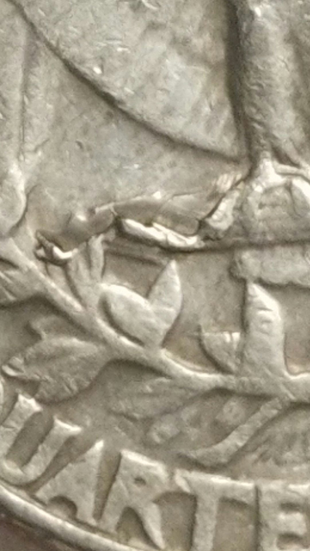 20191130_101100-0.jpg