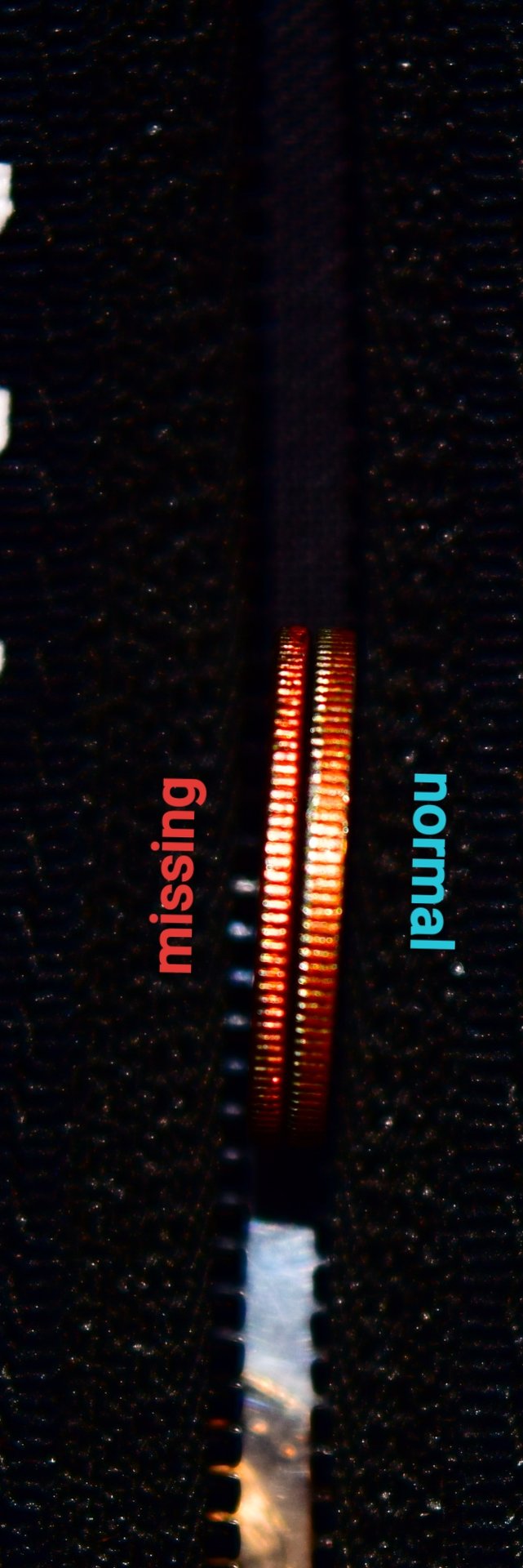 20191202_213146.jpg