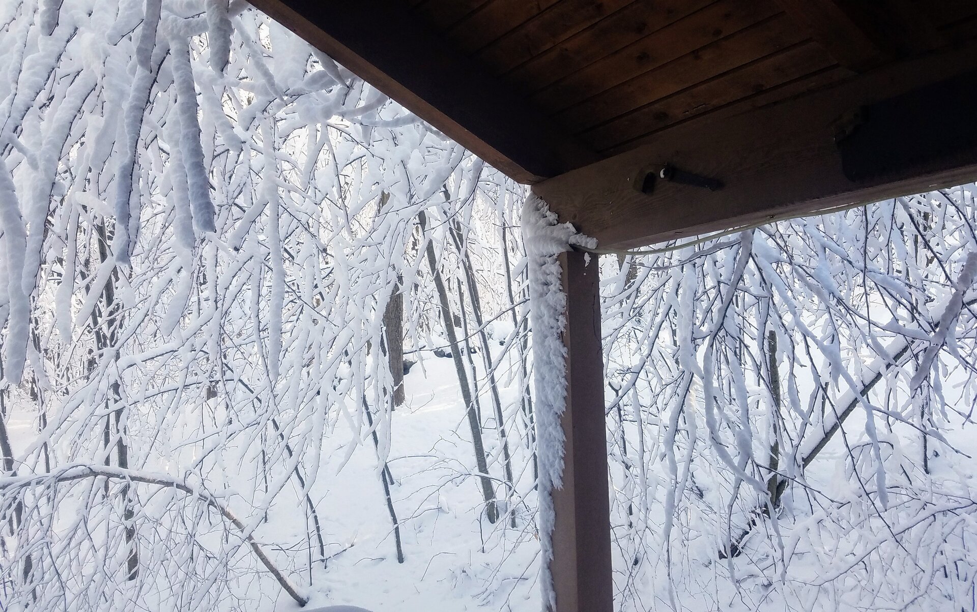 20191203_102526.jpg
