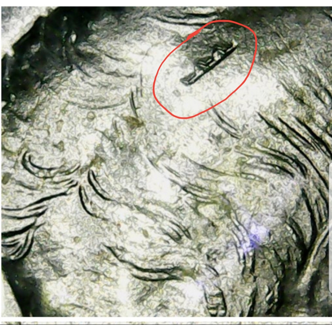 20191203_190448.jpg