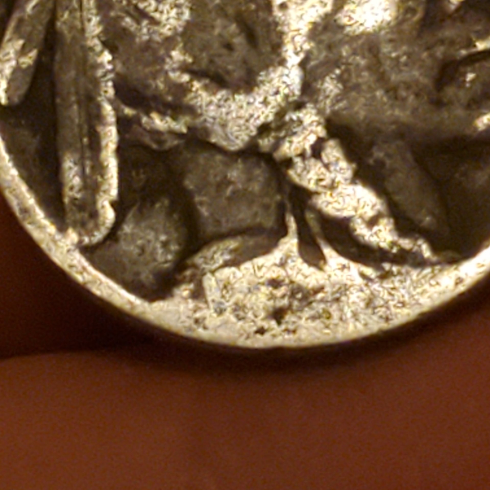 20191216_103505.jpg