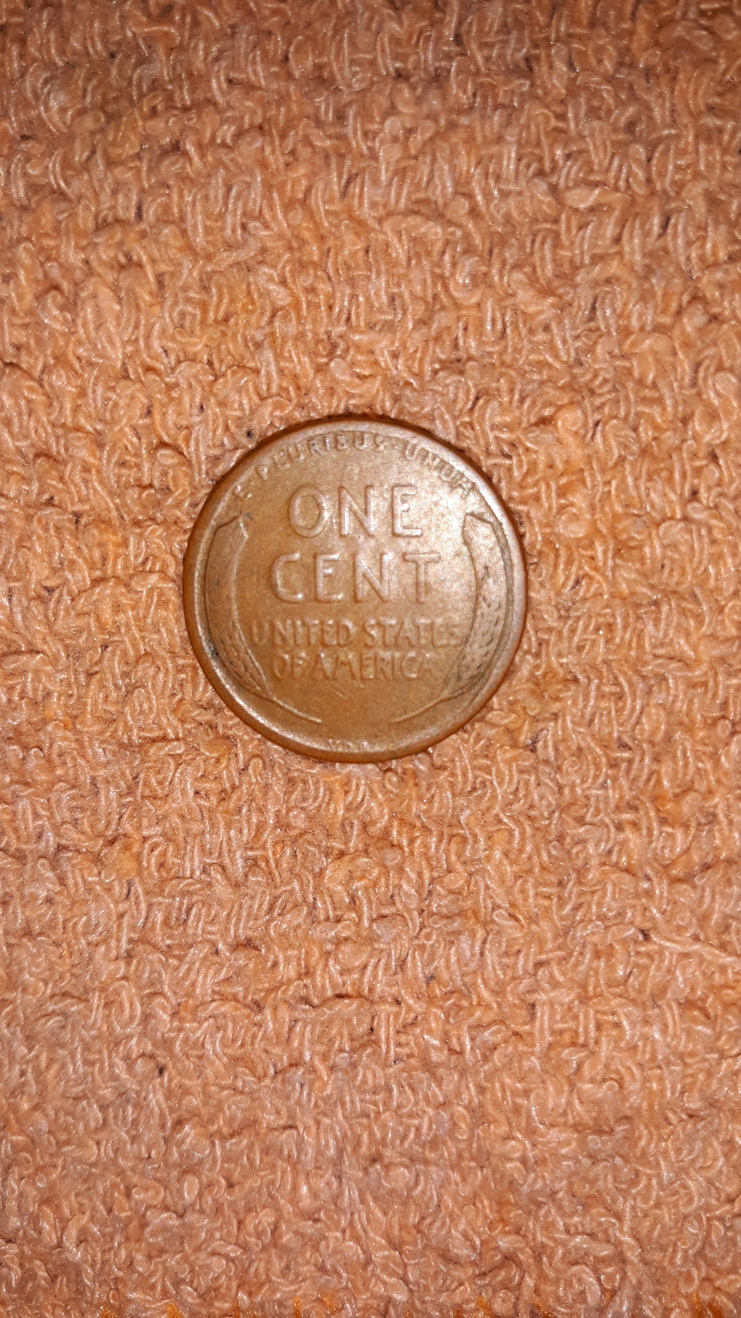 20191220_222436.jpg