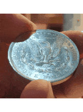 20191221_185923.gif
