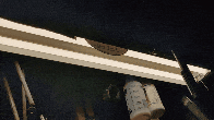 20191222_120939.gif
