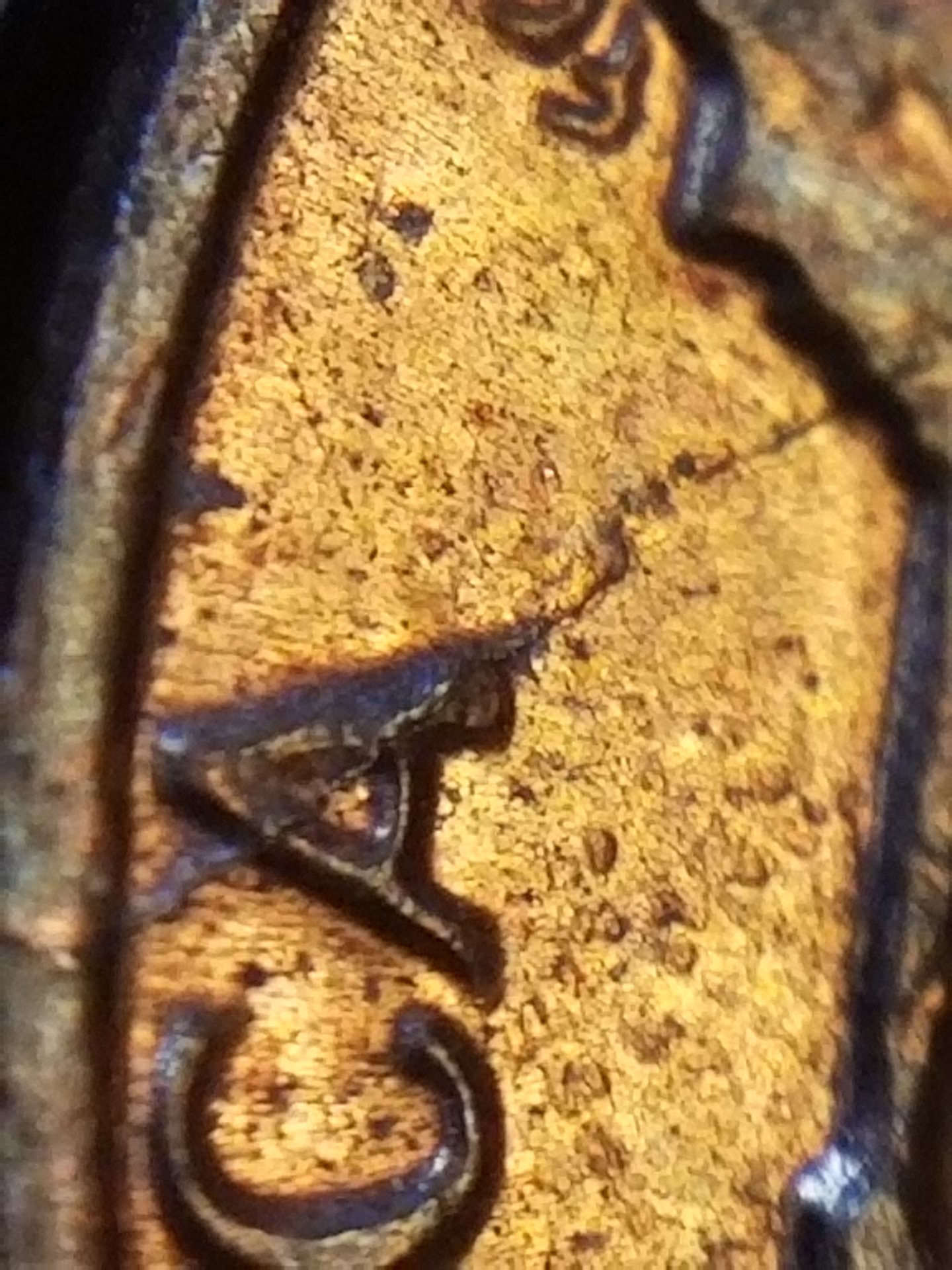 20191225_200406.jpg