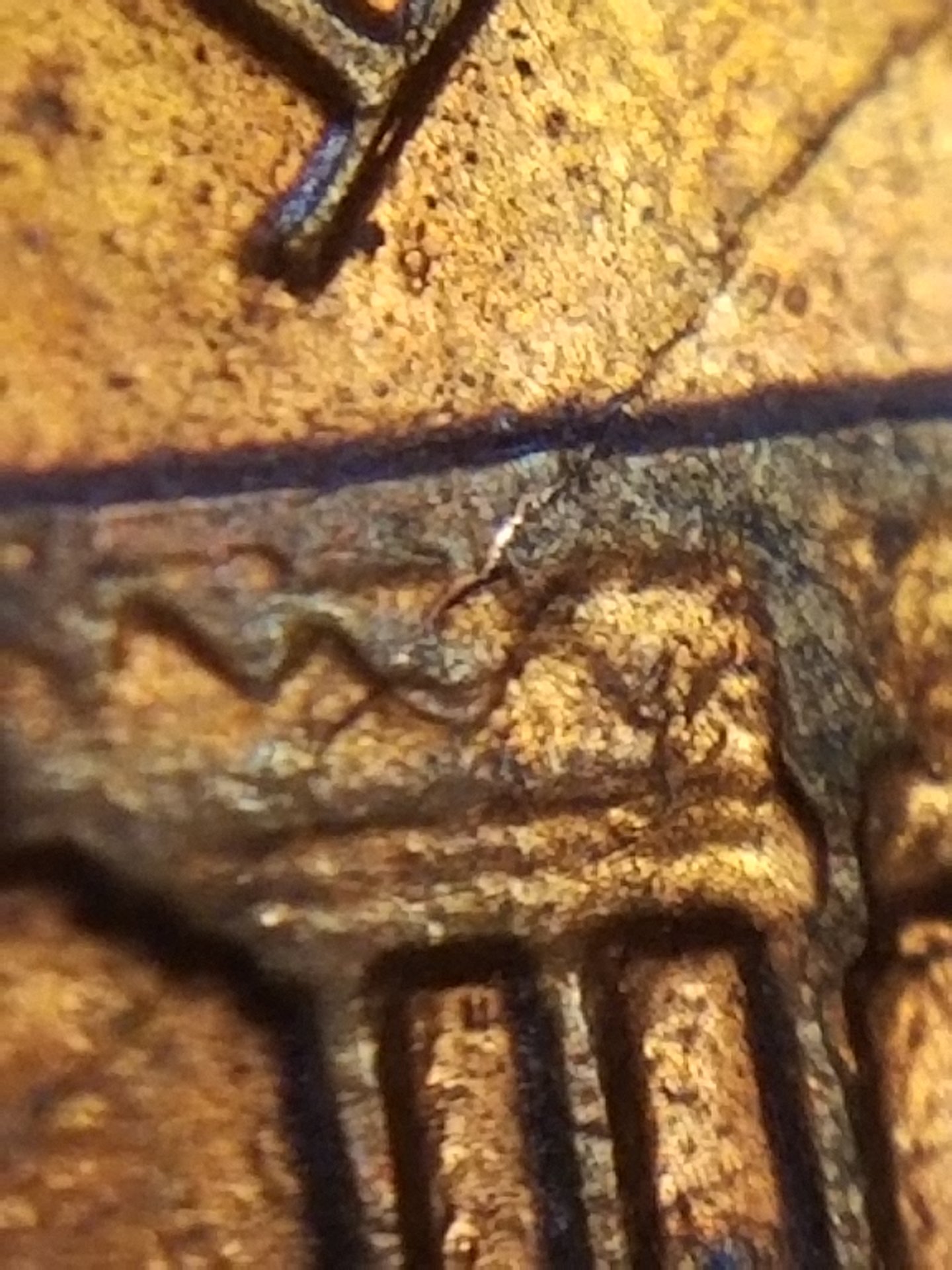 20191225_200414.jpg