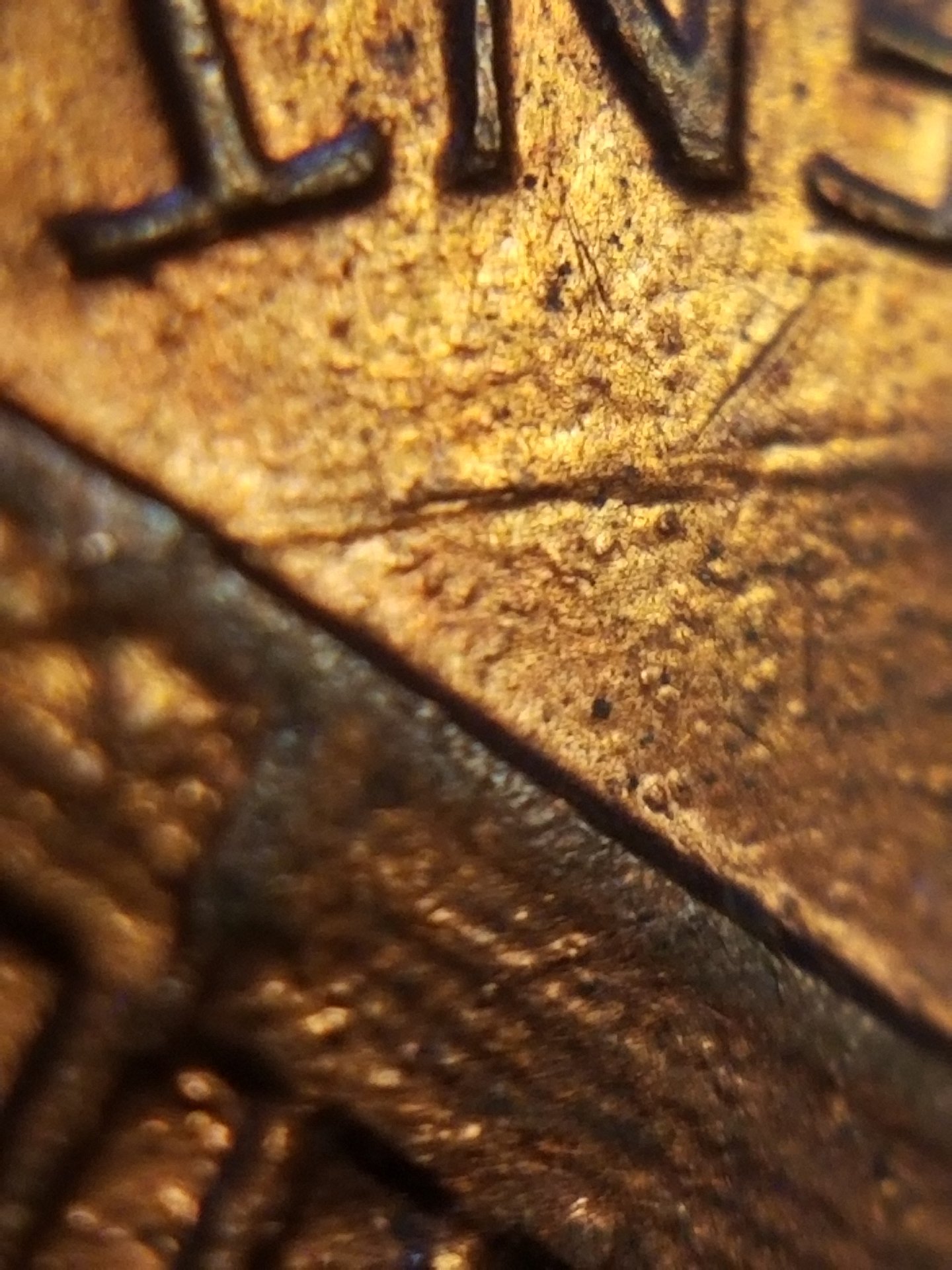 20191225_200455.jpg