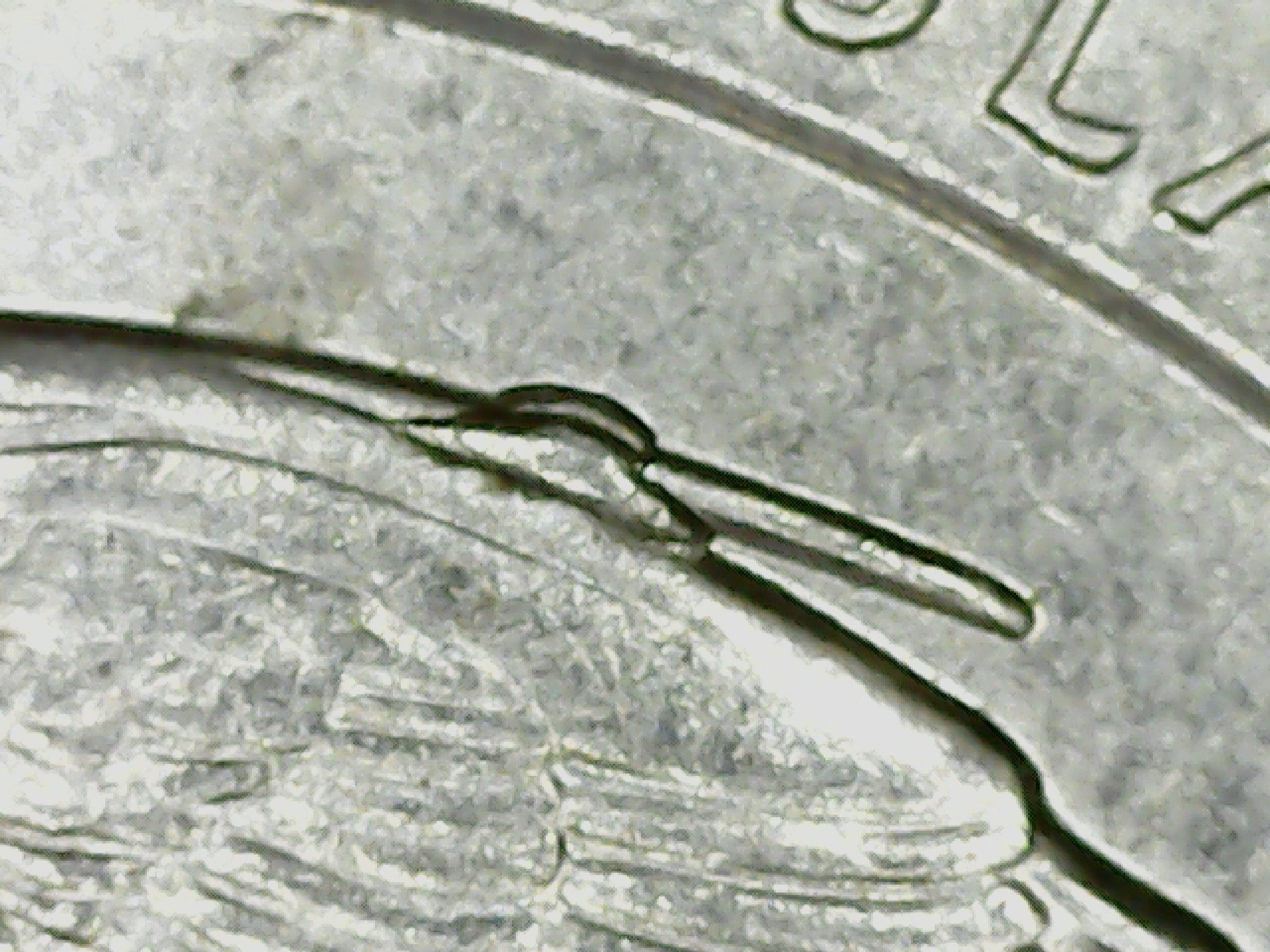 20191227_162554.jpg