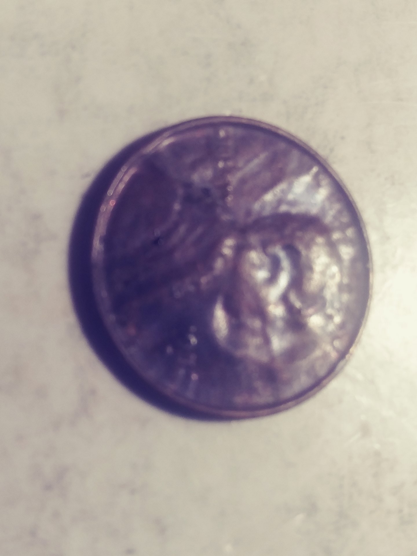 20191228_095245.jpg