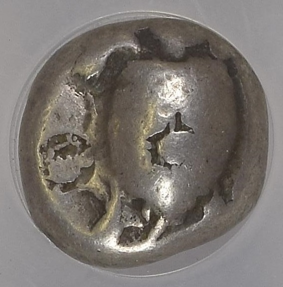 2019_06_16_Aegina_Turtle_Stater_17_NGC_web_site_obverse_truncated.jpg