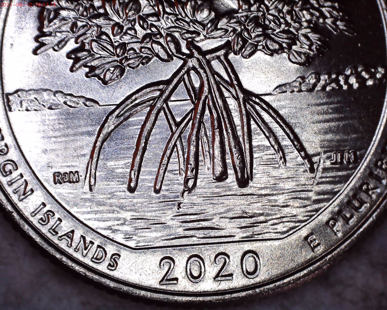 2020 D quarter reverse closeup.jpg