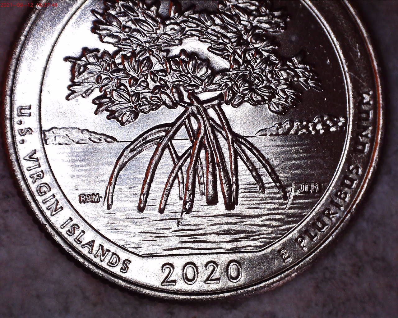 2020 D quarter reverse.jpg