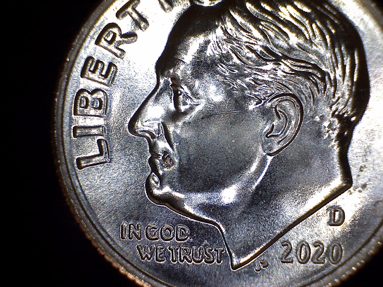 2020-D_Dime_Mole.jpg