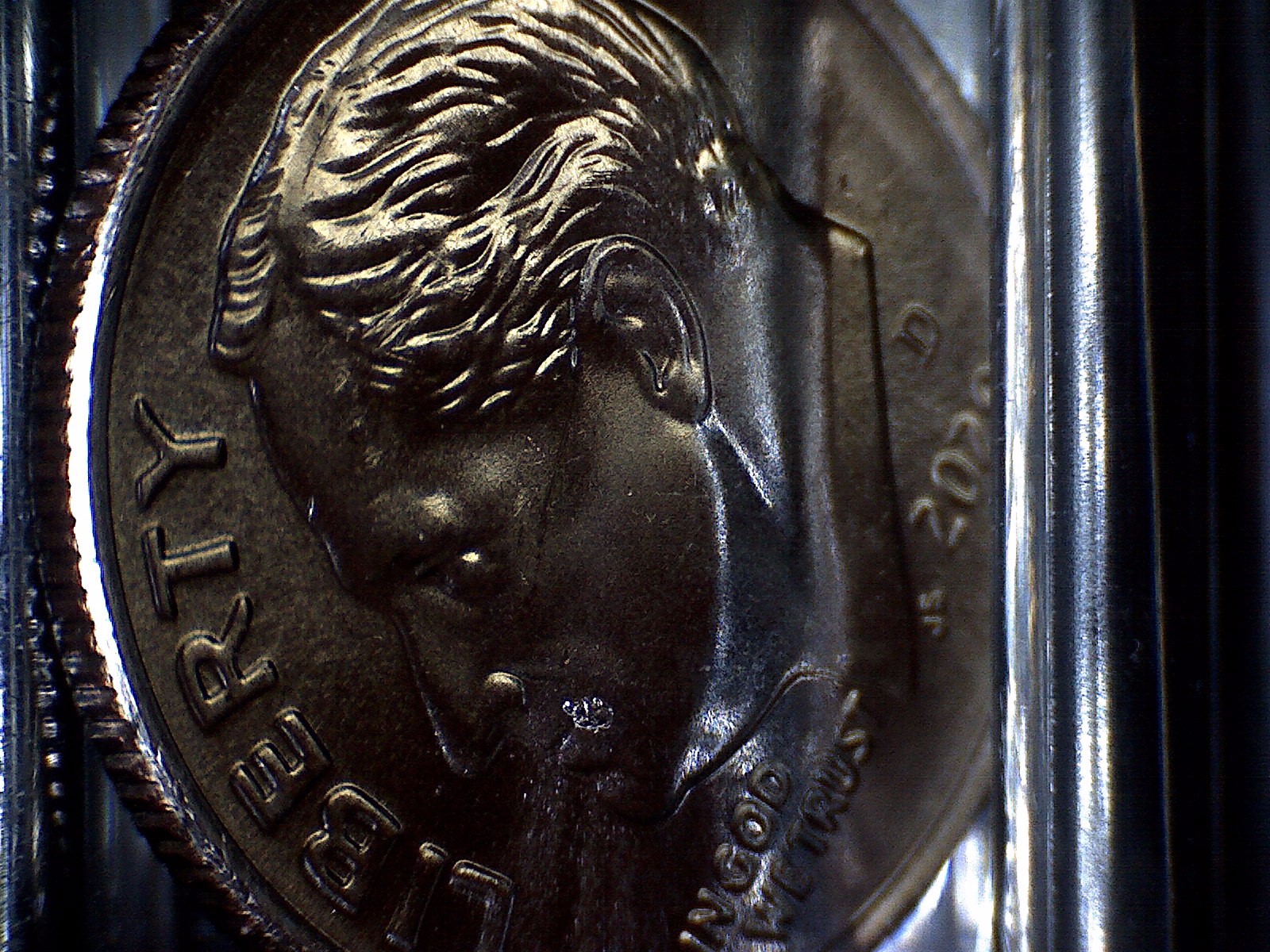 2020-D_Dime_Mole_2.jpg