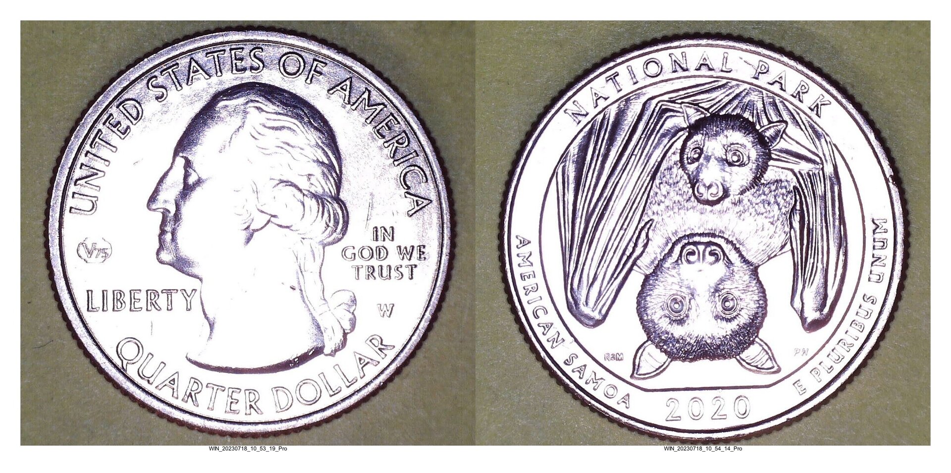 2020 W American Samoa.jpg