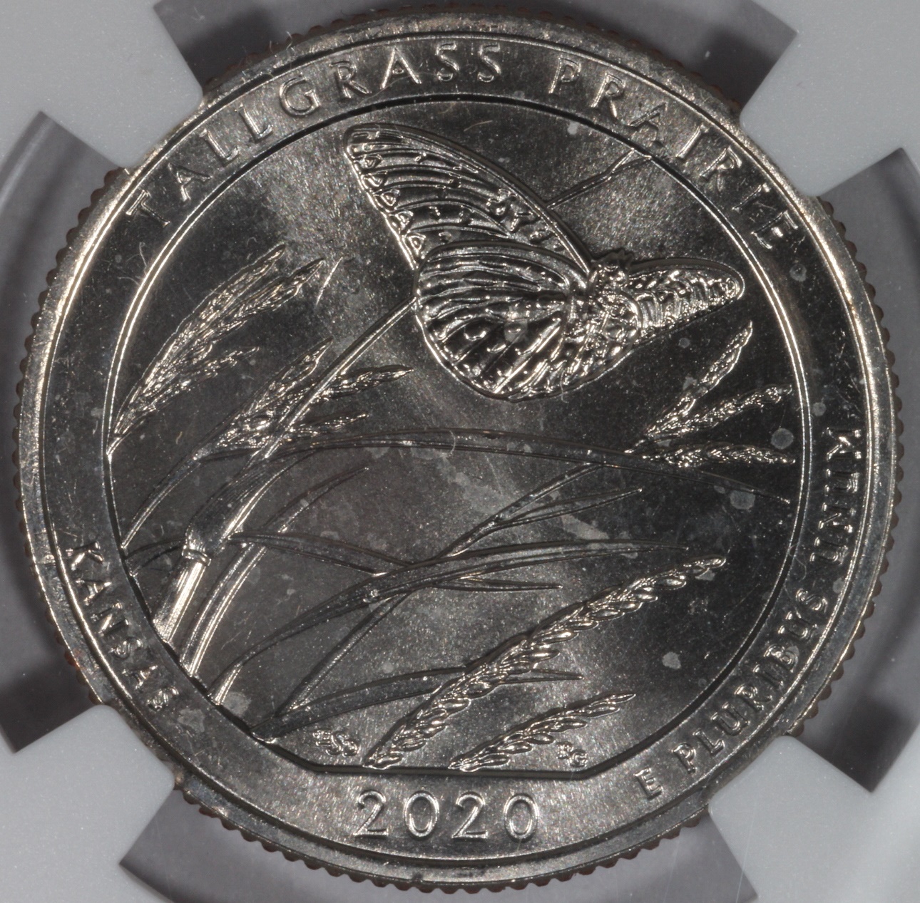 2020-W quarter Rev.JPG
