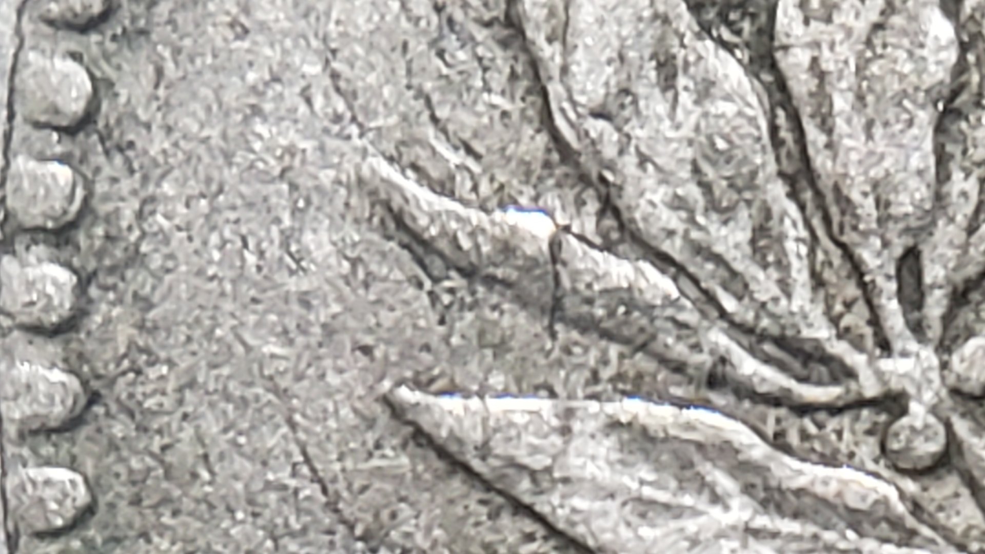 20200102_173305.jpg