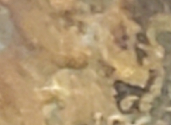 20200105_142225.jpg