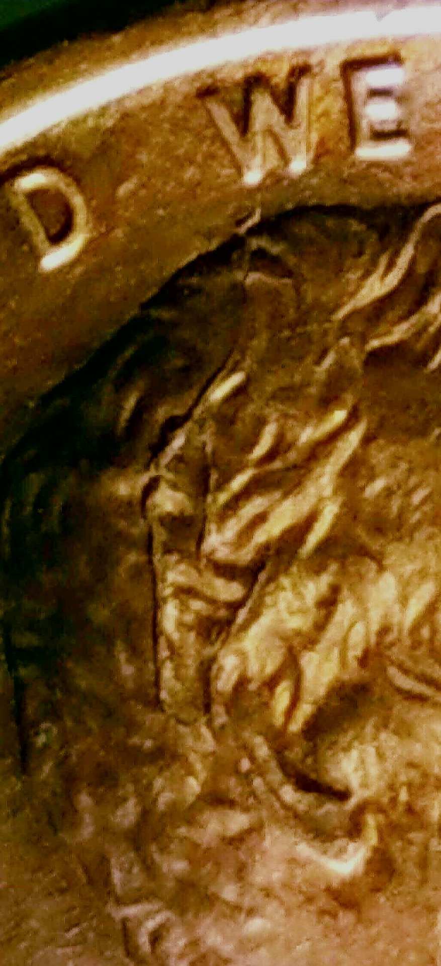 20200113_131839.jpg