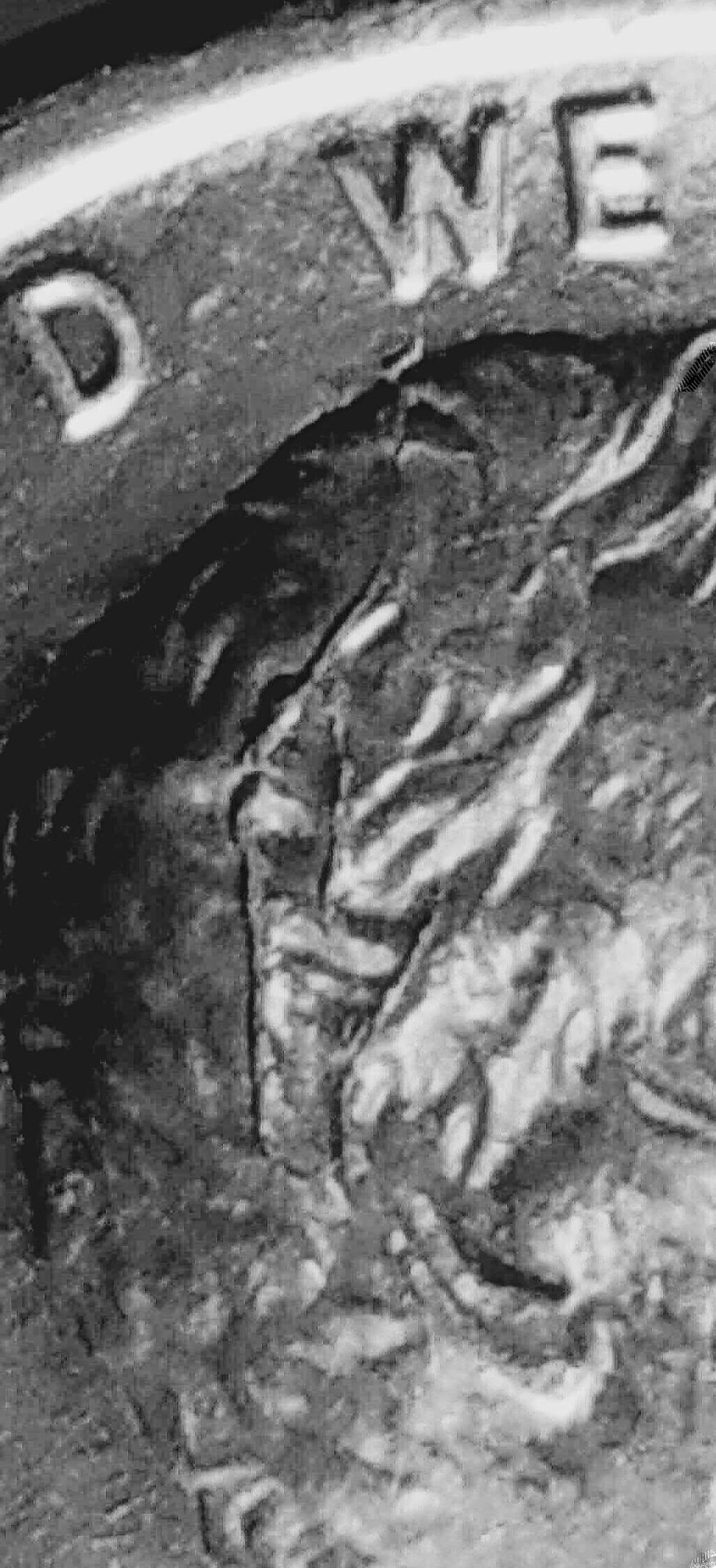 20200113_131850.jpg