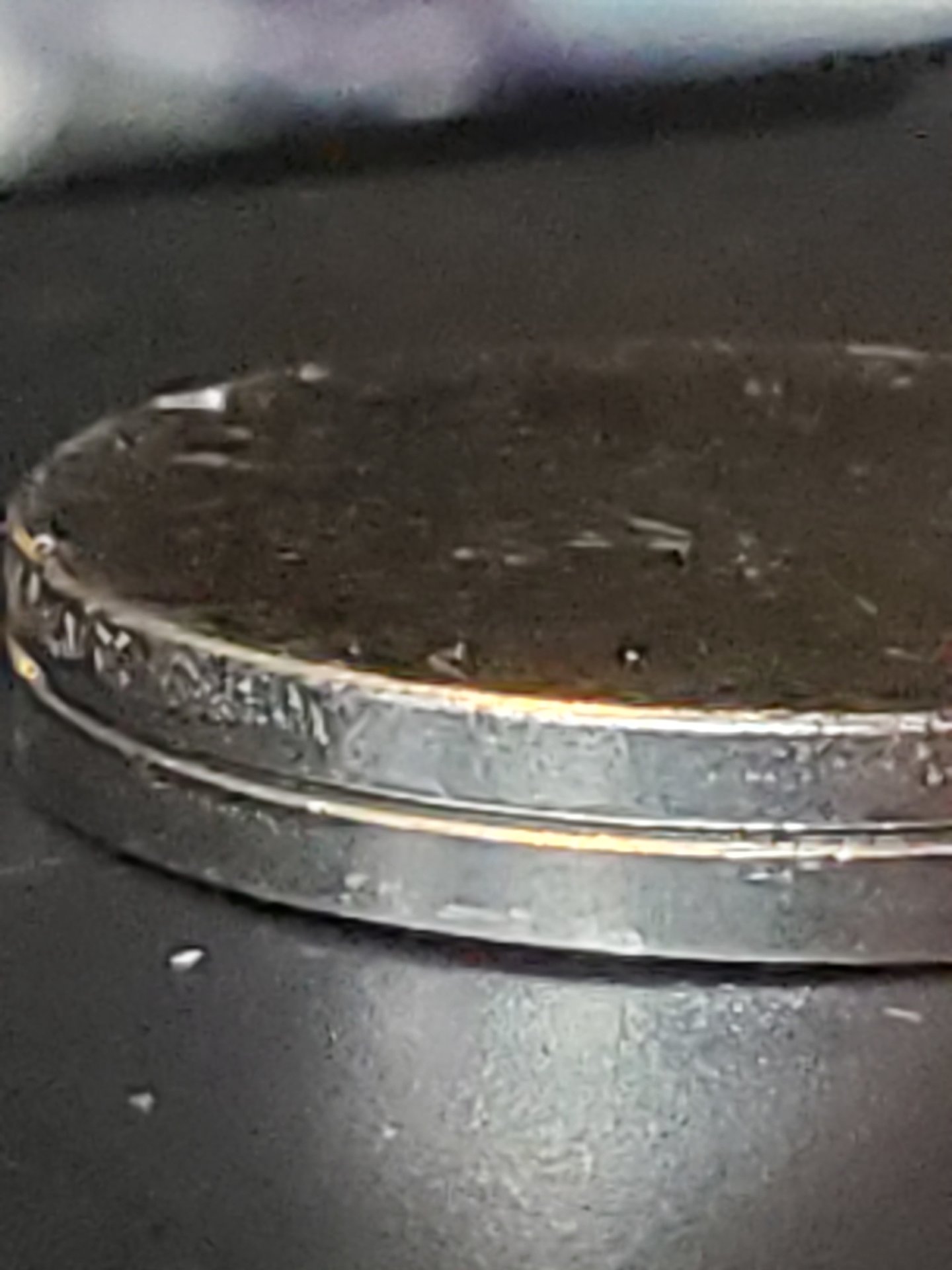 20200121_133321.jpg