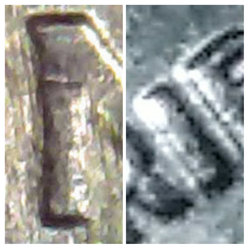 20200126_175642-COLLAGE.jpg