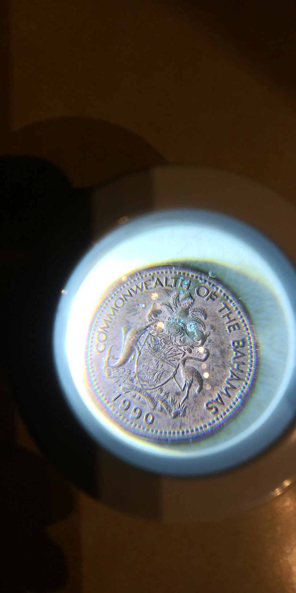 20200131_193720.jpg