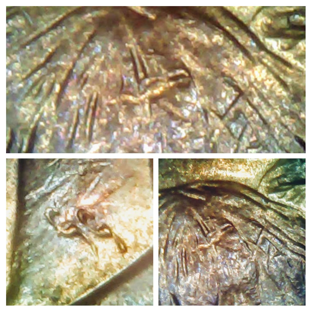 20200214_113745-COLLAGE.jpg