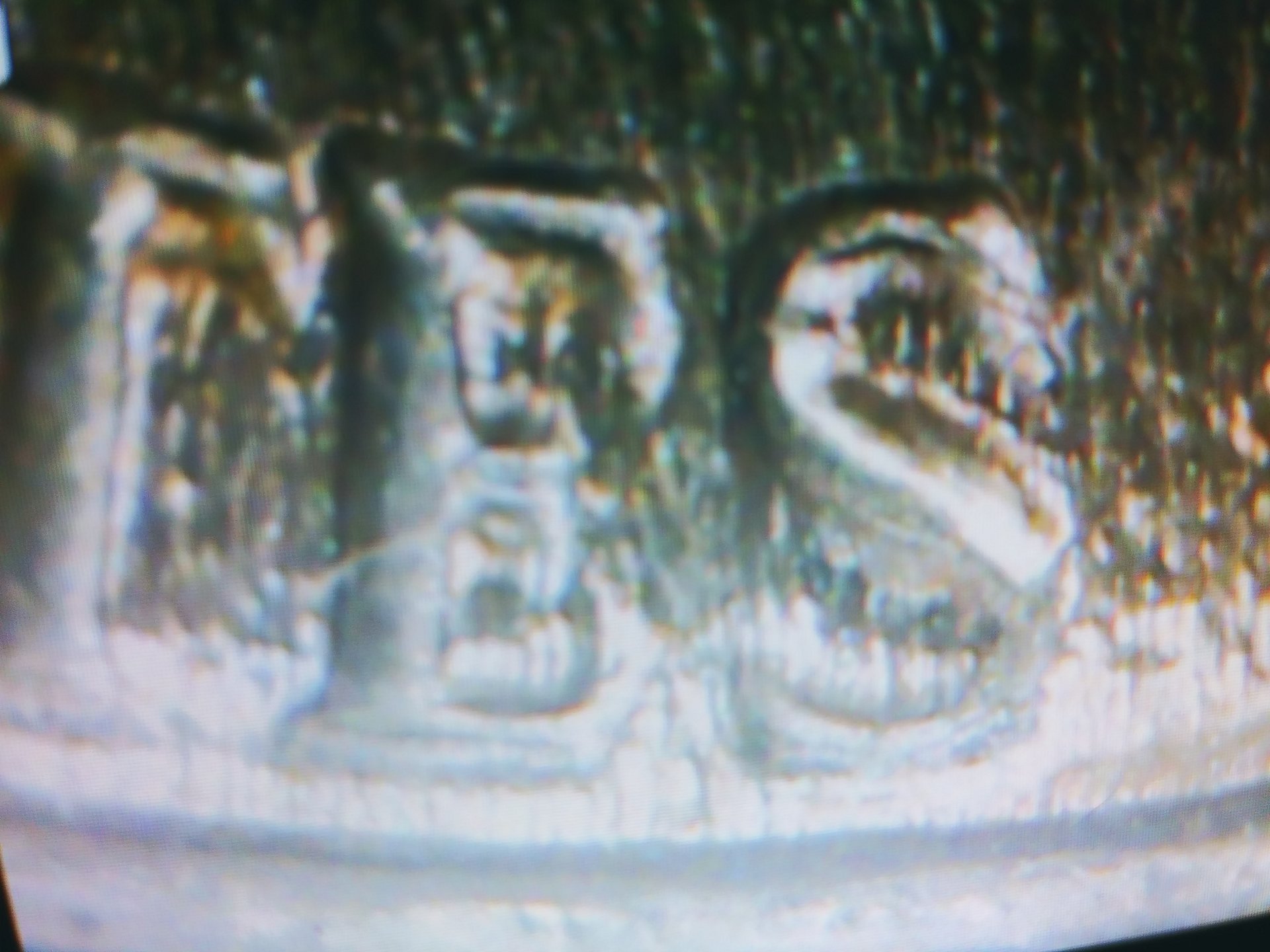 20200221_232128.jpg
