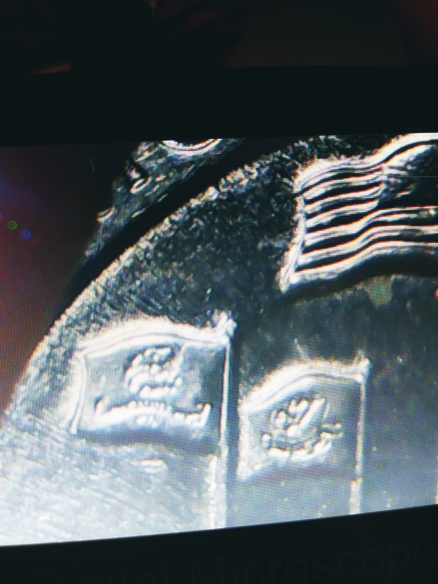 20200227_210059.jpg